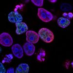 diagnostic-lab-case-gallery-6.jpg